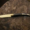 Coffret de 2 couteaux de table Kintsugi Charbon Lame Or