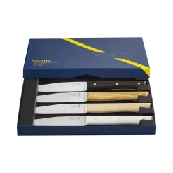 Coffret de 4 couteaux de table Facette Panaché