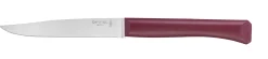 Coffret de 4 couteaux de table Bon Appétit + Glam (Couleurs panachées)