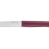 Couteau de table Bon Appetit + Grenat